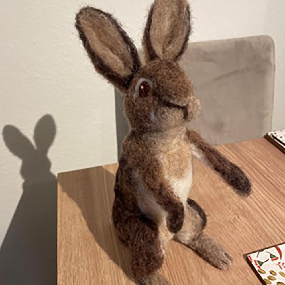 Custom Needle Felted Hare, Personalized Rabbit Gift, Finished Product with Free Gift Box - soufeelau