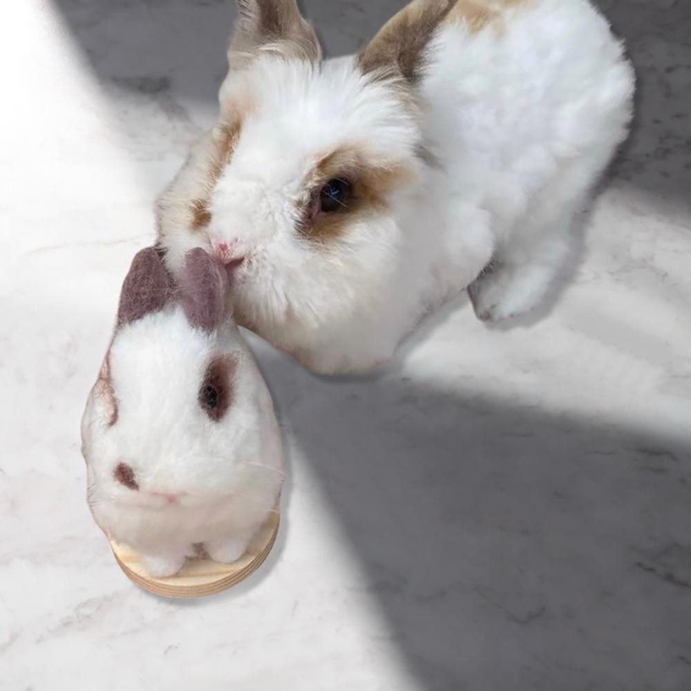 Custom Needle Felted Hare, Personalized Rabbit Gift, Finished Product with Free Gift Box - soufeelau