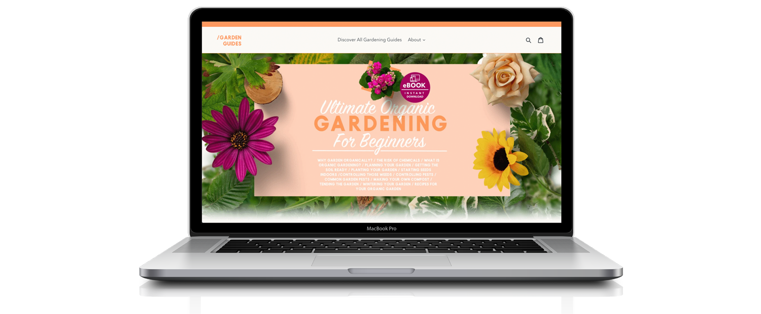 ‘Flower Power ’ Gardening Niche