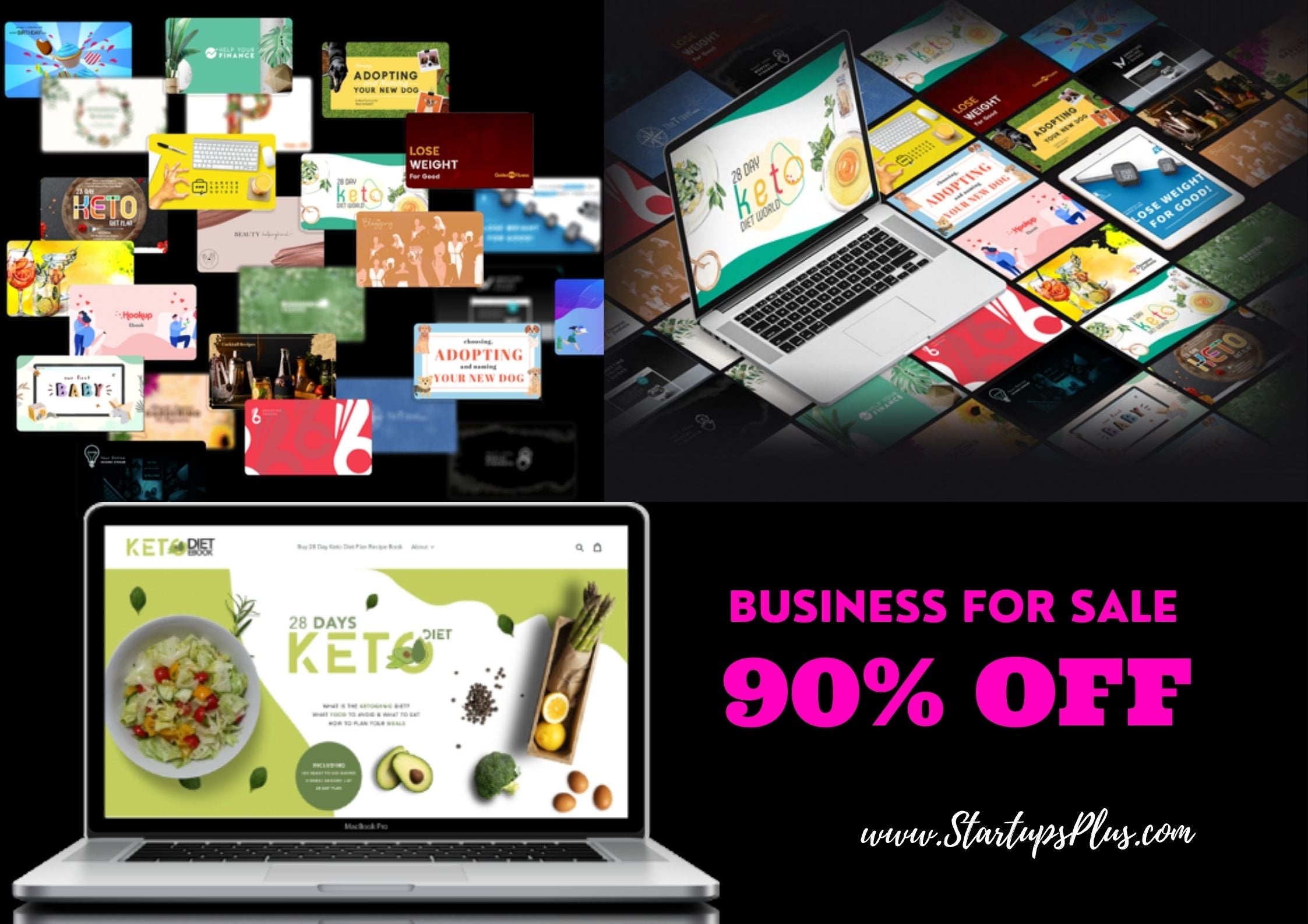 Wholesale Pack Of 31 Businesses Shopify Turnkey Website With Ebooks Small Business Opportunity Master Resell Rights Bundle