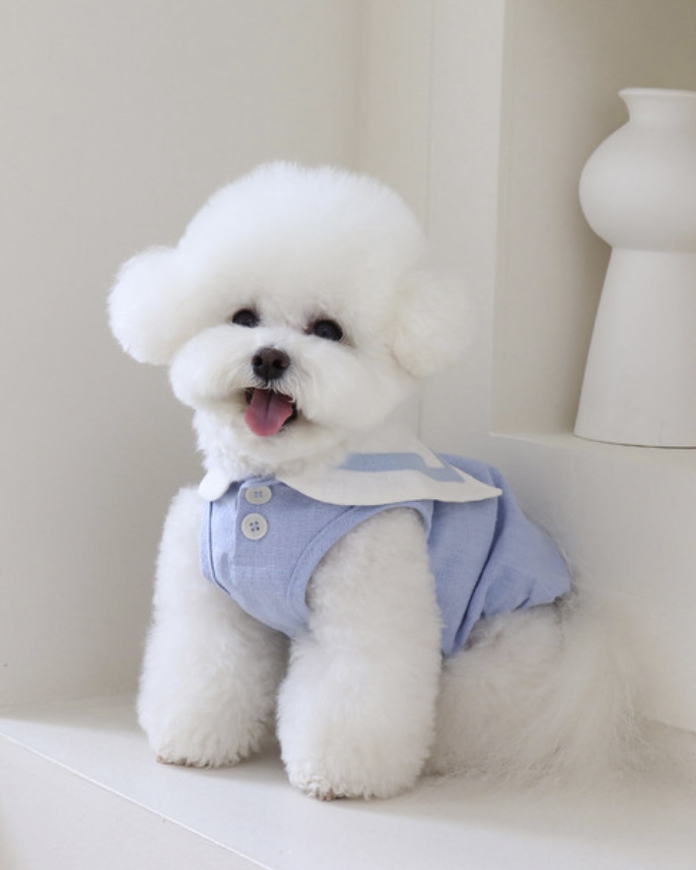 Pastel Linen Cape Top (Blue)