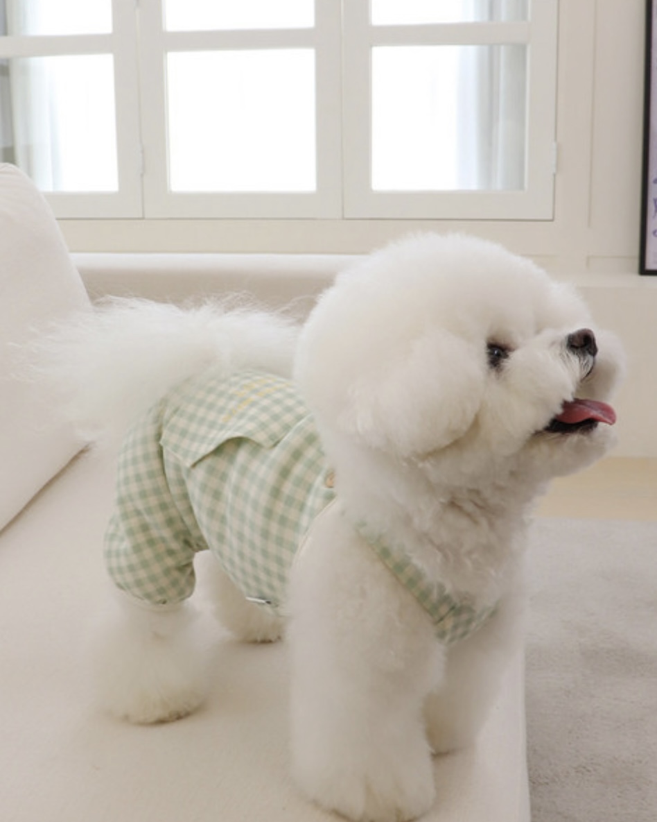 Chiot Together Check All in One Overall (Mint)