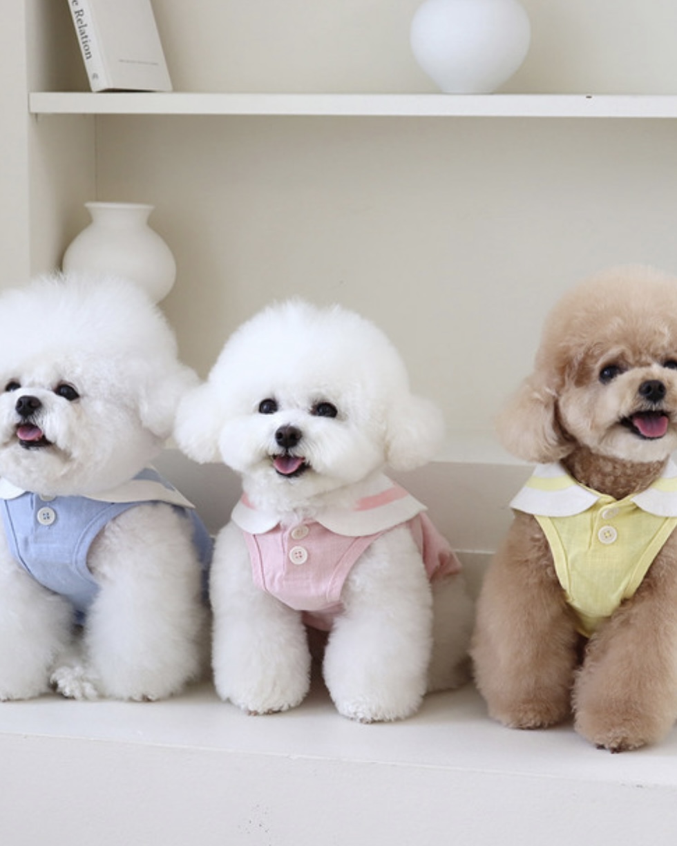 Pastel Linen Cape Top (Mint)