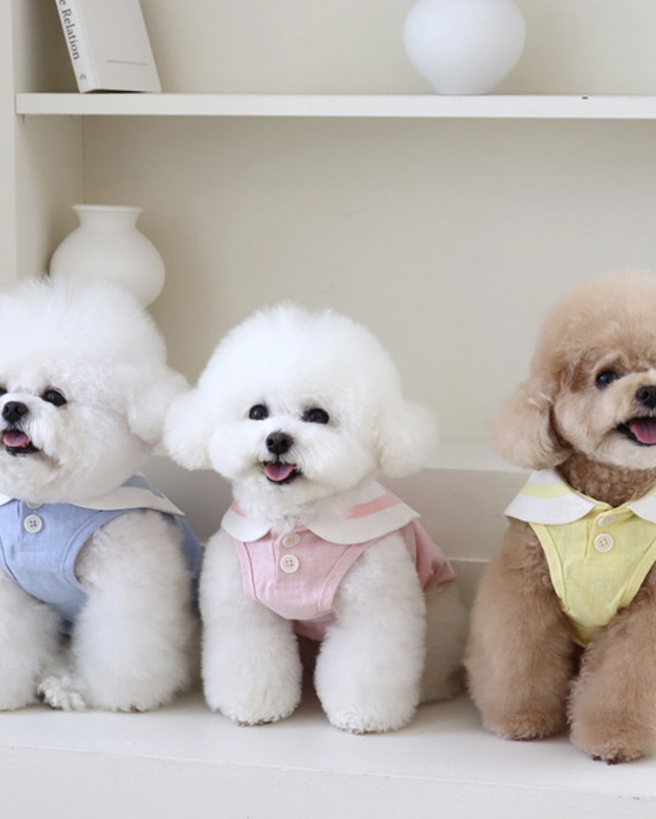 Pastel Linen Cape Top (Pink)