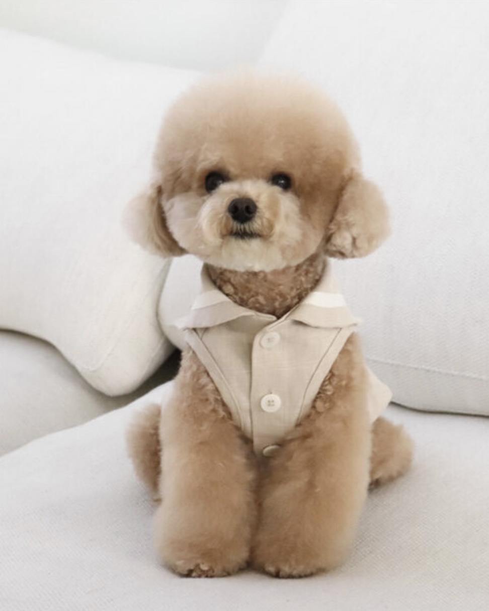 Pastel Linen Cape Top (Beige)