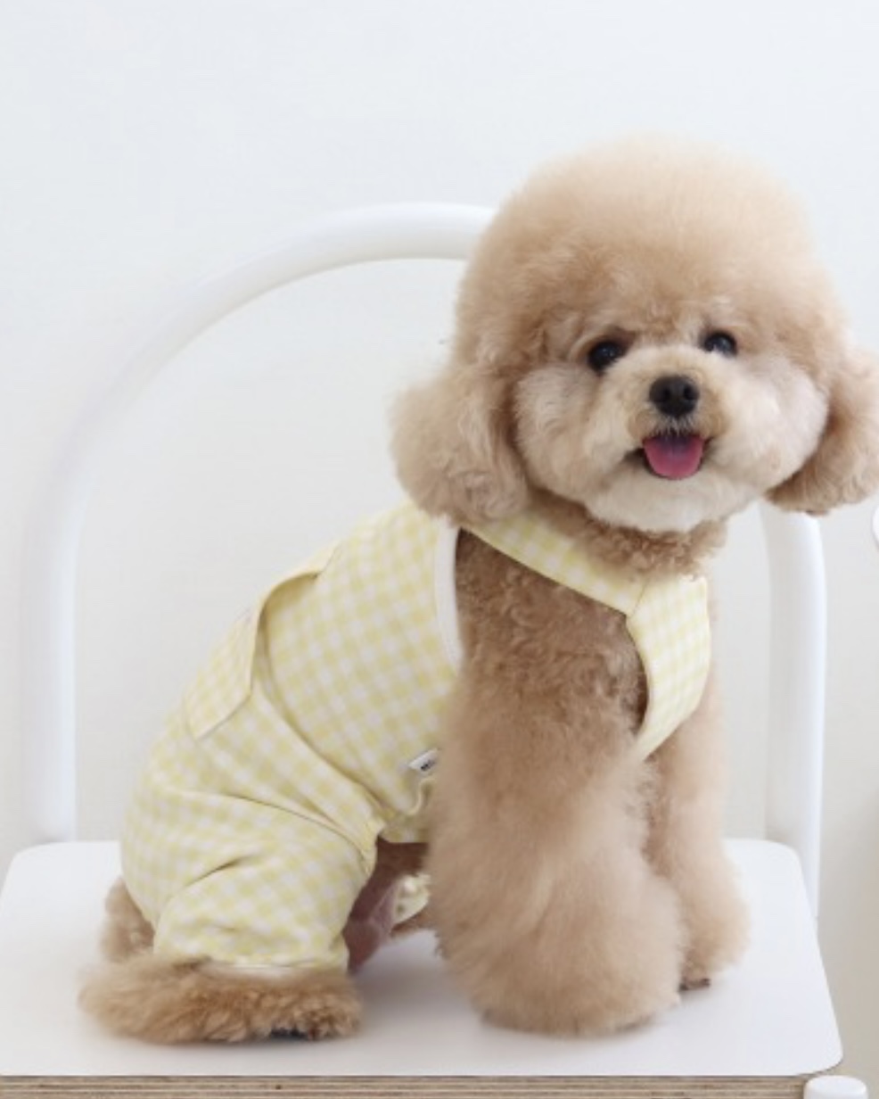 Chiot Together Check All in One Overall (Yellow)