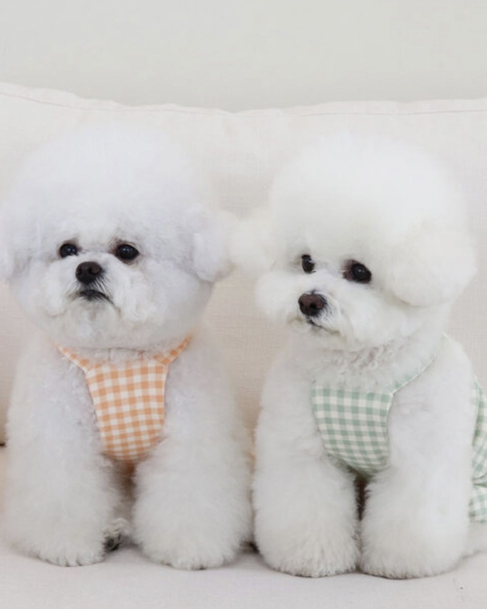 Chiot Together Check All in One Overall (Orange)