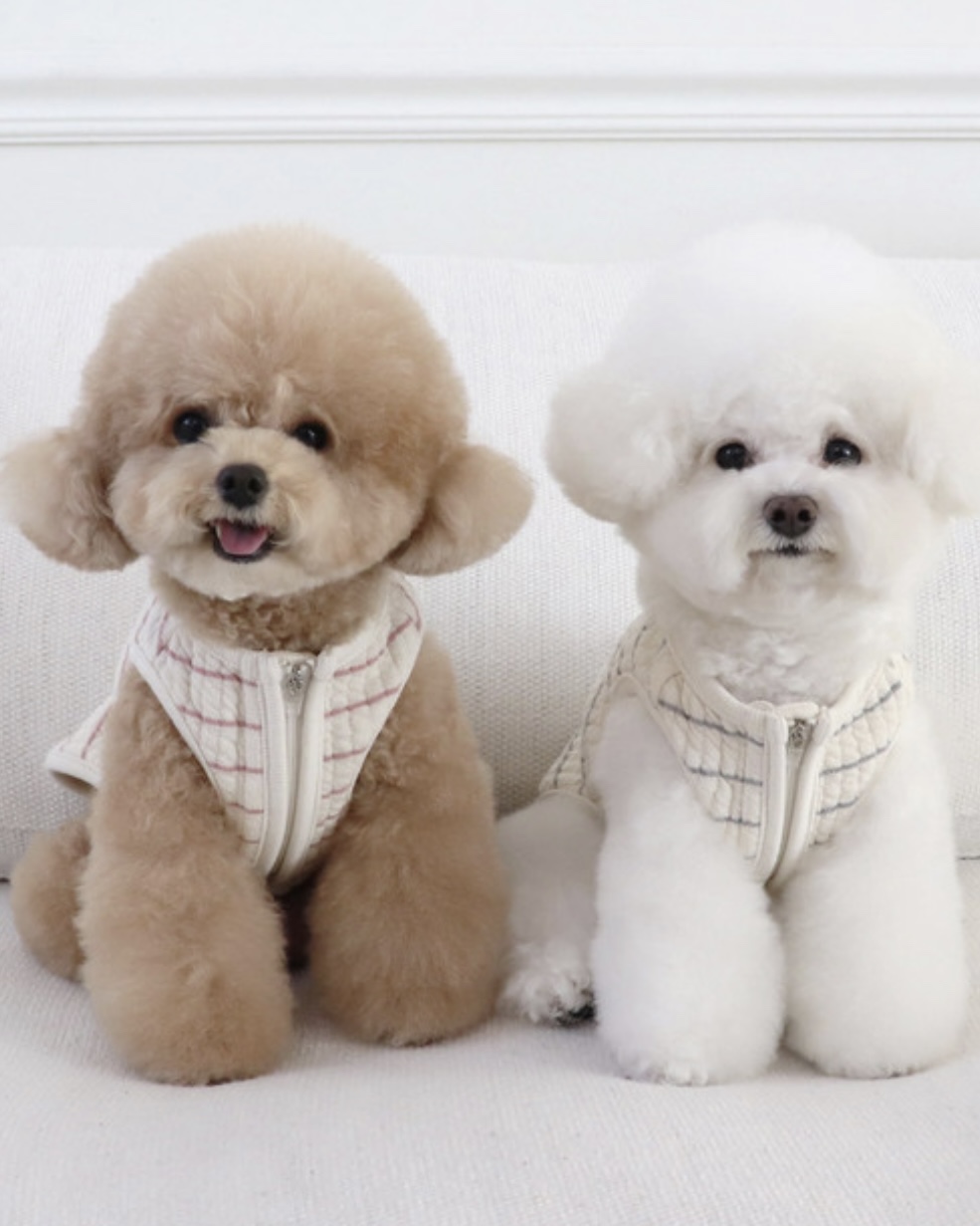 Chiot Bebe Cream Quilted Zip-Up Vest (Pink)