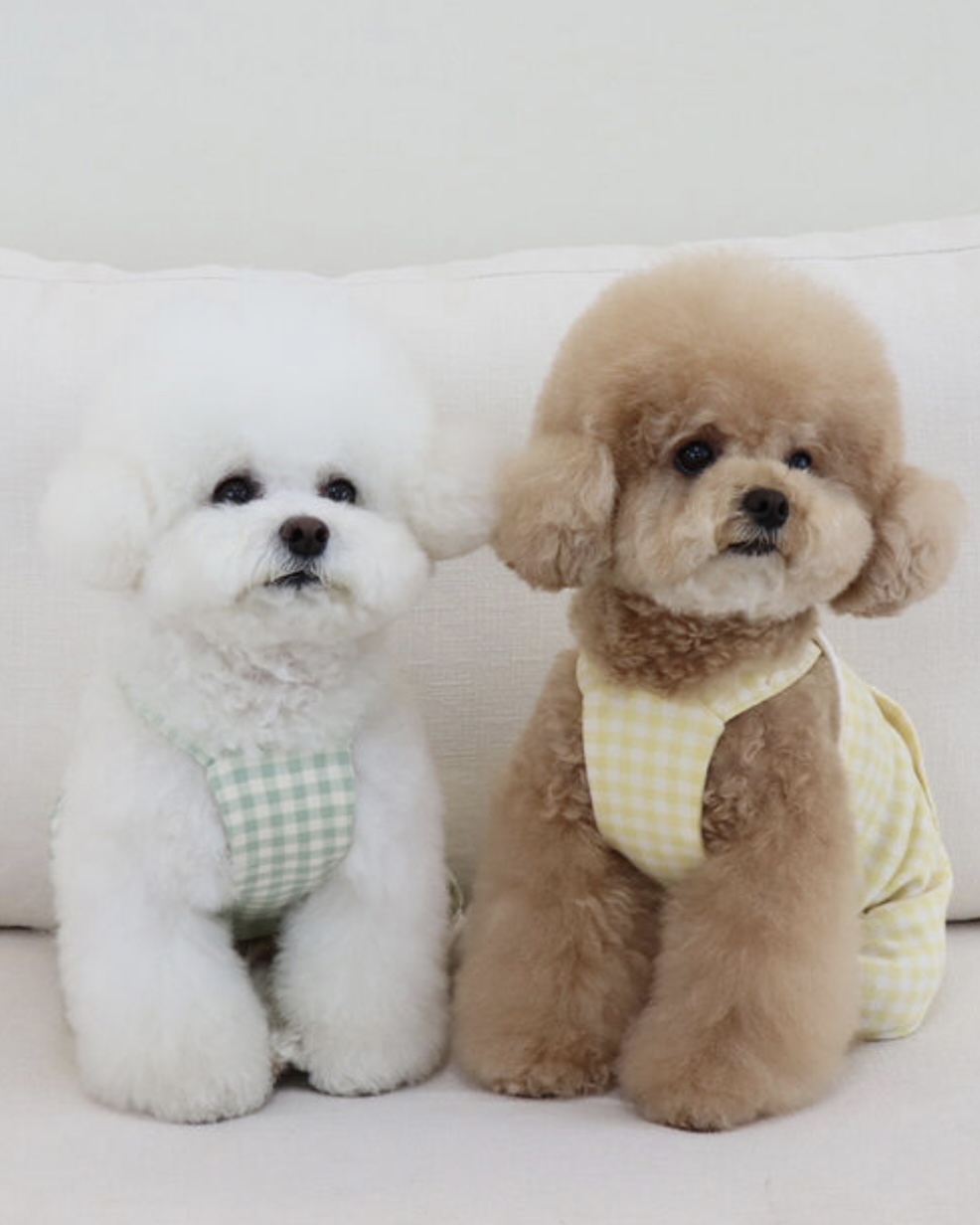 Chiot Together Check All in One Overall (Yellow)