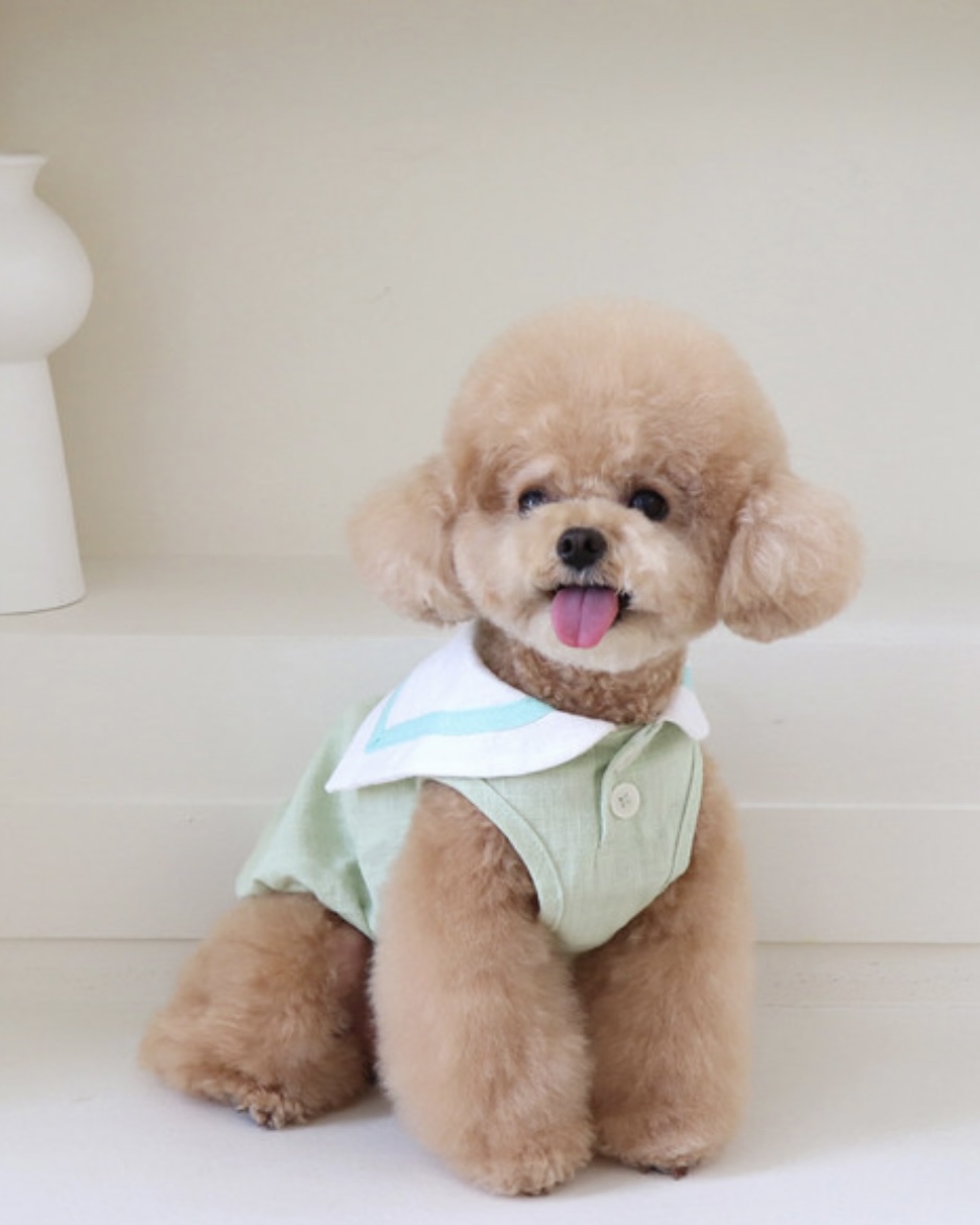 Pastel Linen Cape Top (Mint)