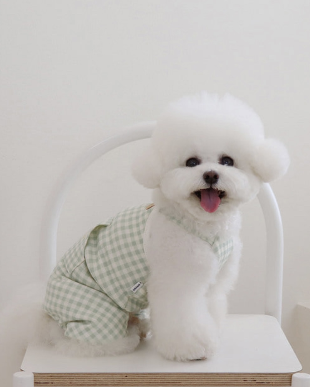 Chiot Together Check All in One Overall (Mint)