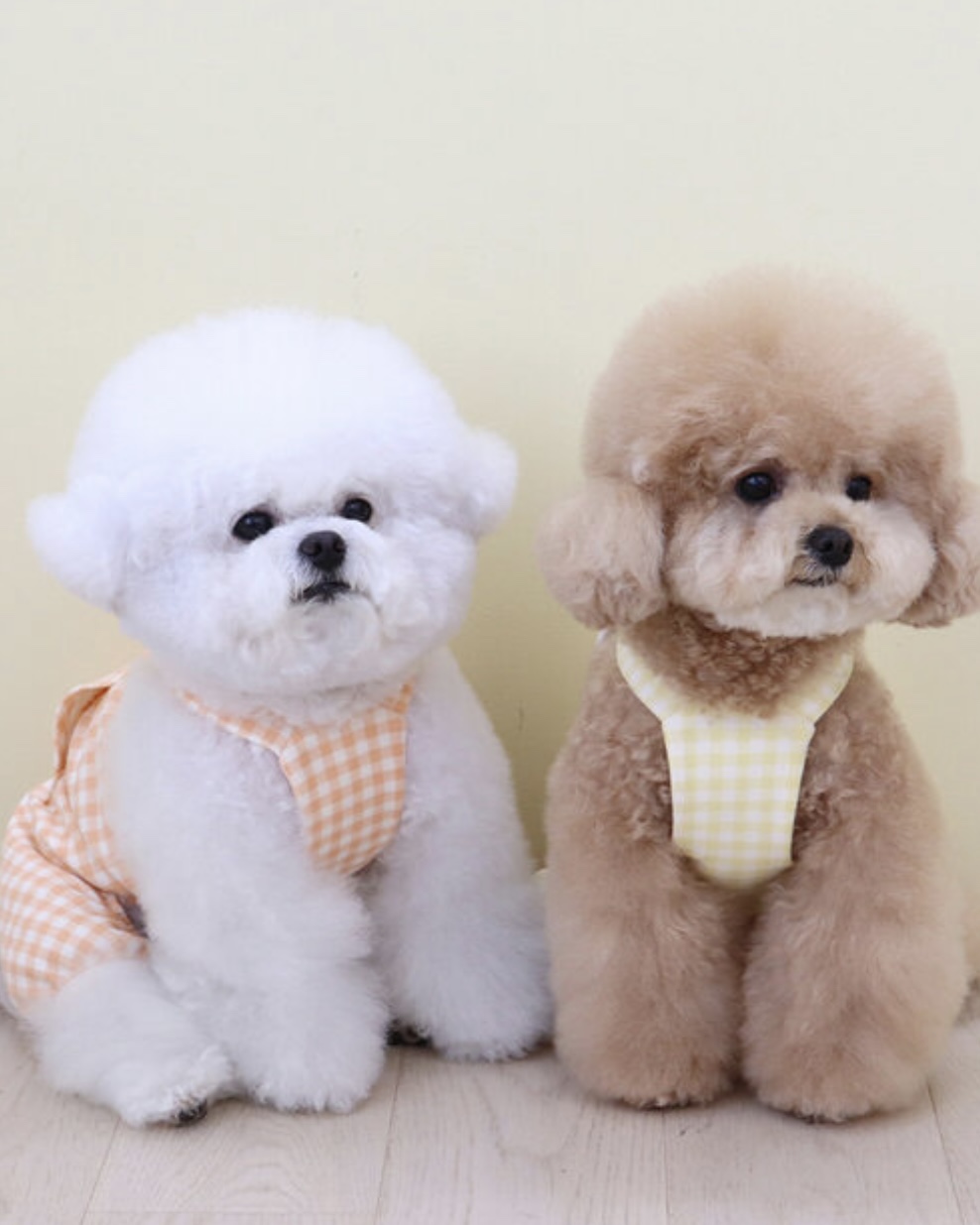 Chiot Together Check All in One Overall (Yellow)