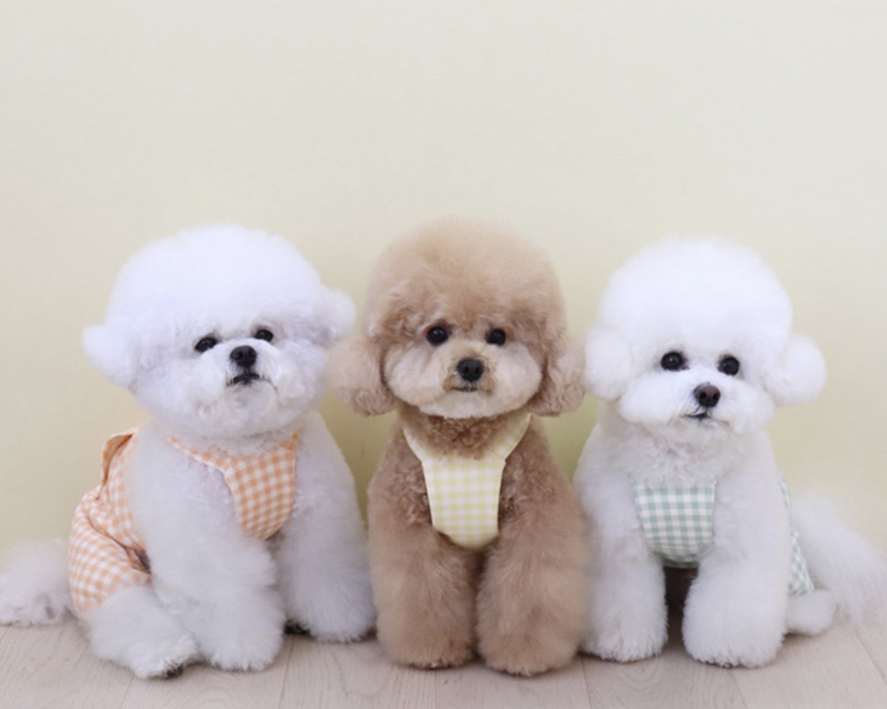 Chiot Together Check All in One Overall (Mint)