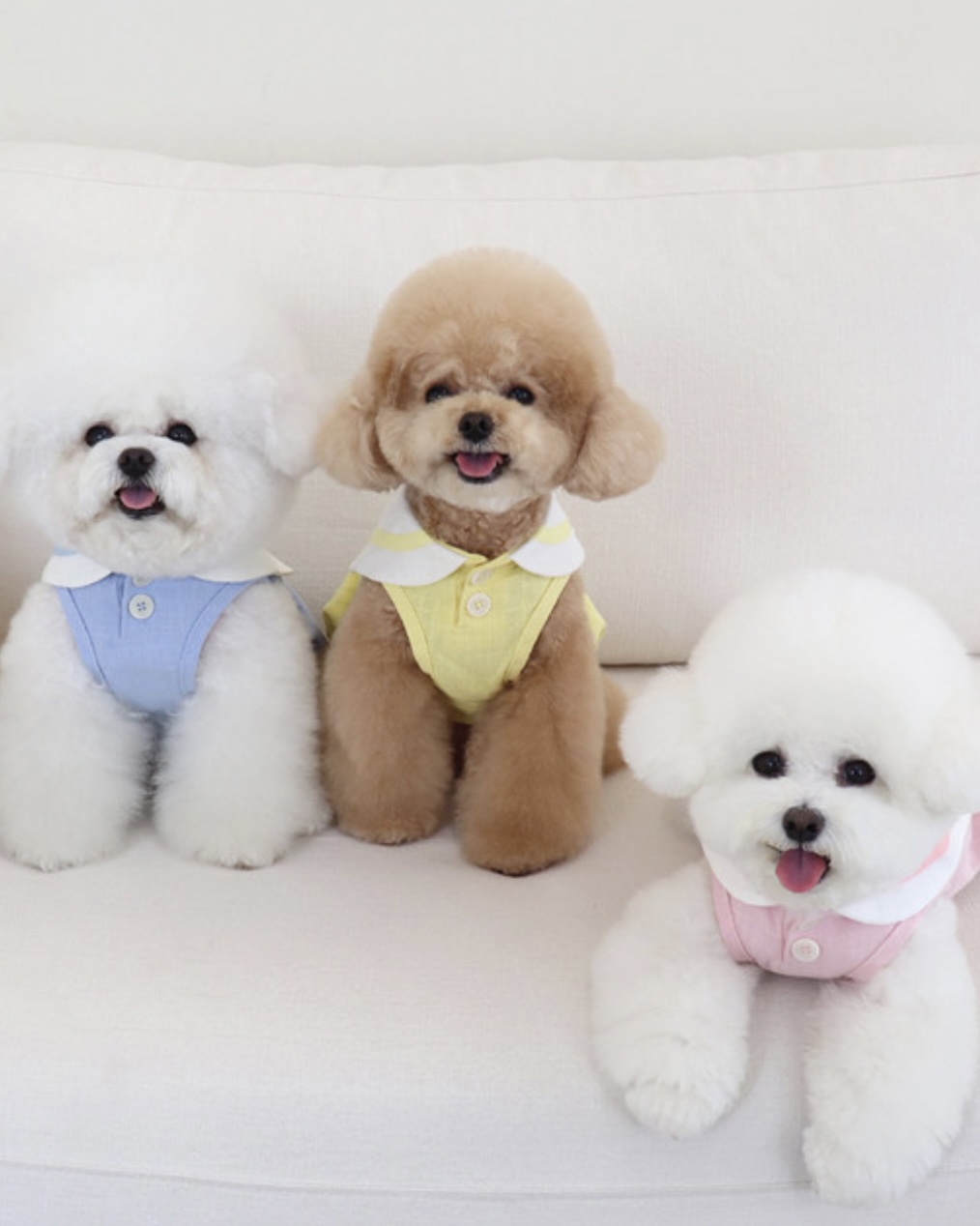 Pastel Linen Cape Top (Yellow)