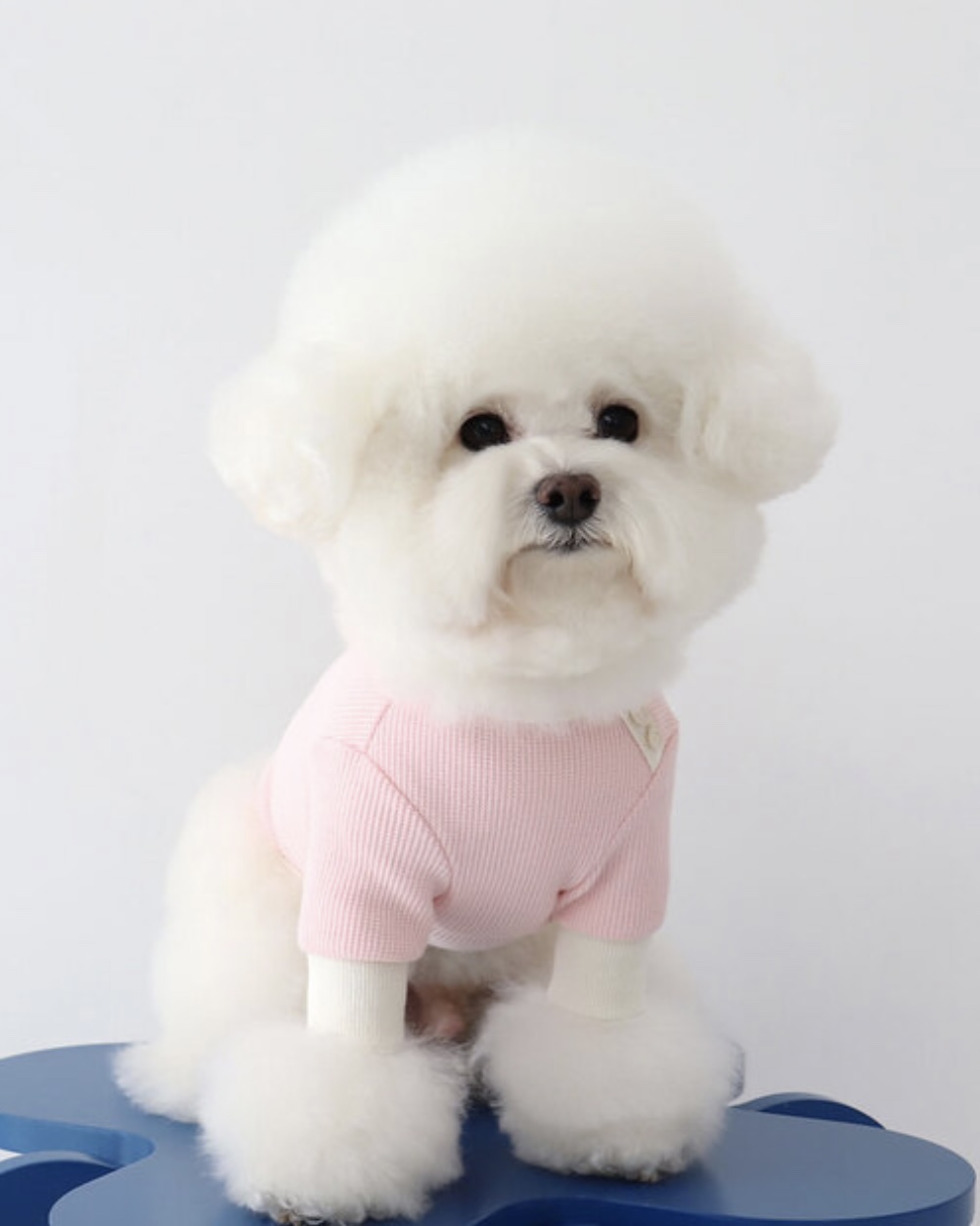 Sherbet Waffle T-Shirt (Pink)