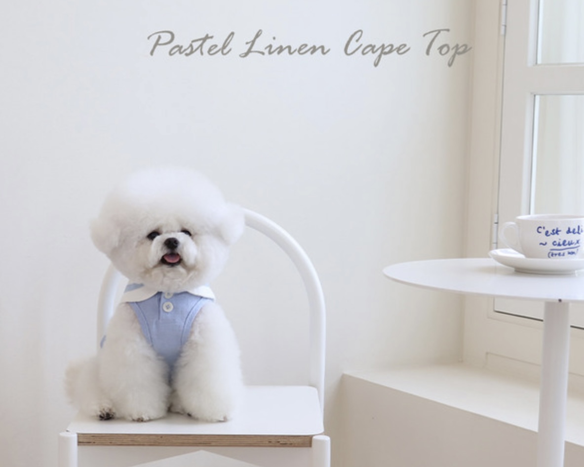 Pastel Linen Cape Top (Blue)