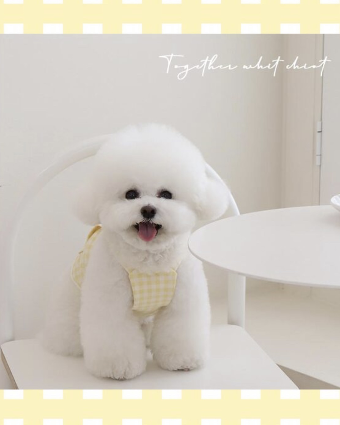 Together Check Crop Top Overall (Yellow)