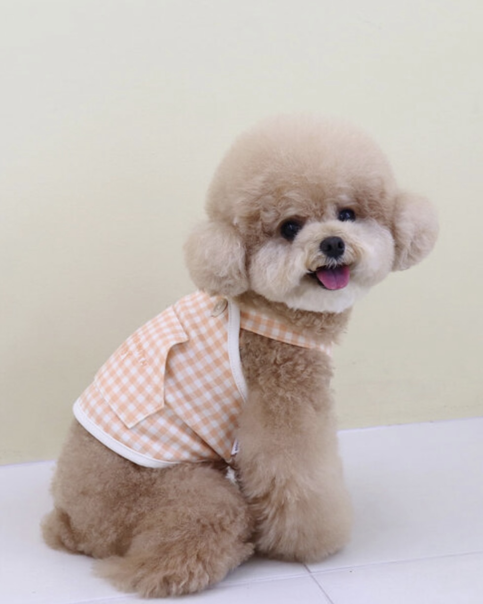 Together Check Crop Top Overall (Orange)