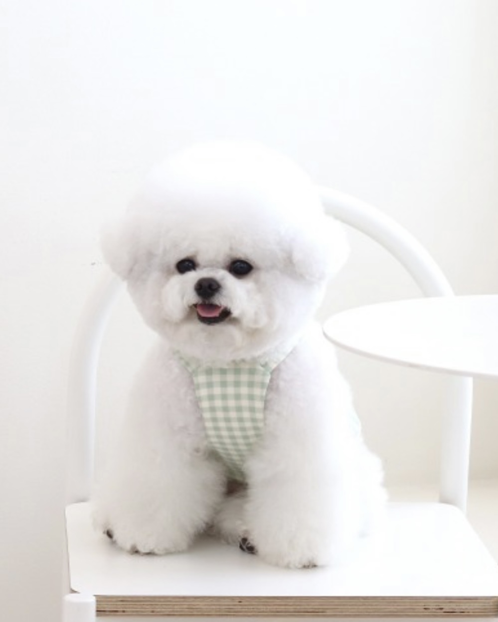 Chiot Together Check Crop Top Overall (Mint)