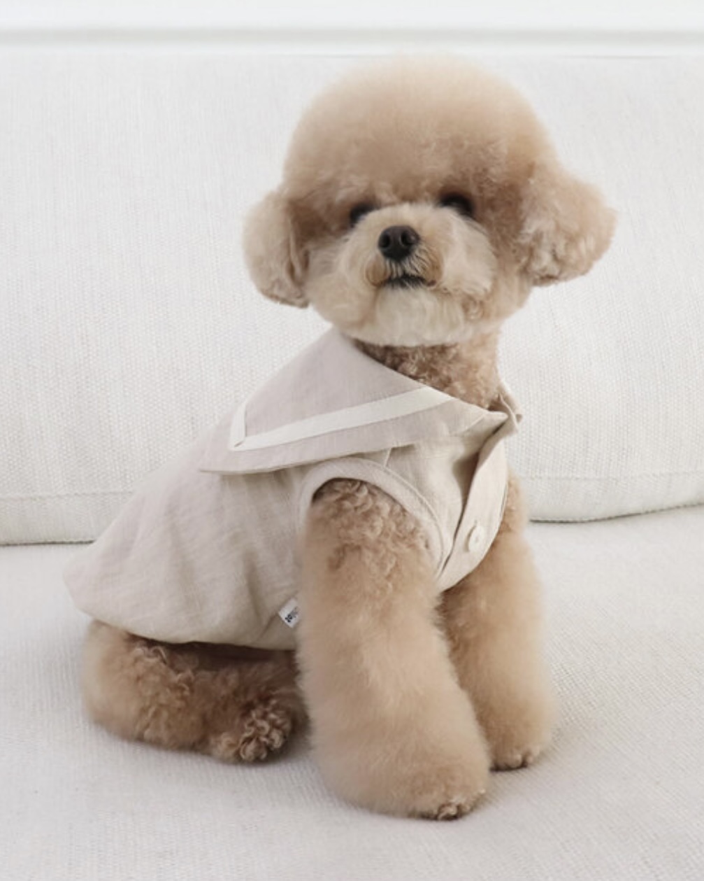 Pastel Linen Cape Top (Beige)