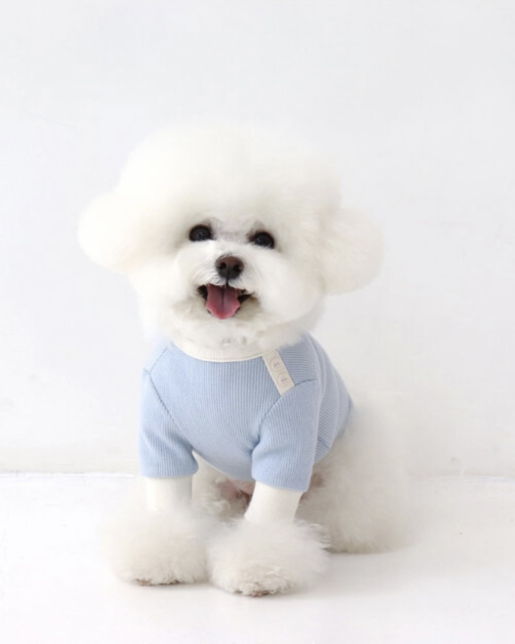 Sherbet Waffle T-Shirt (Blue)