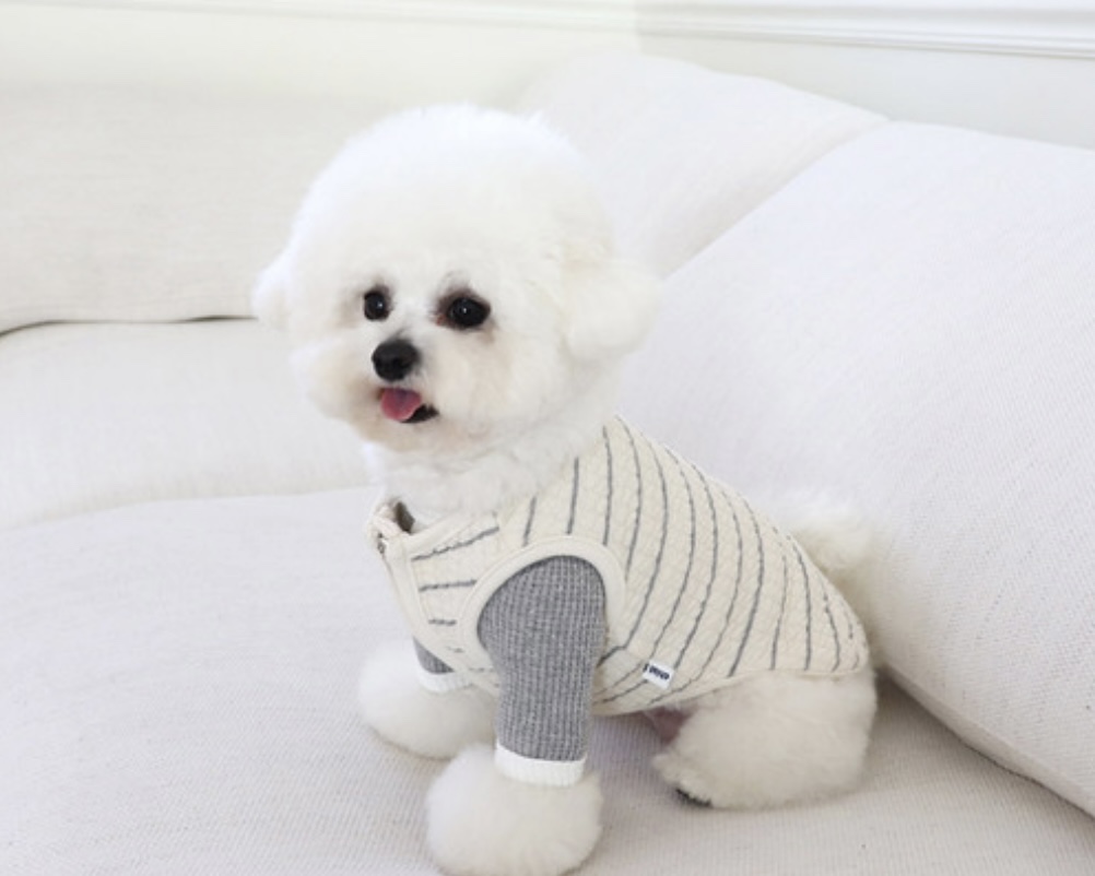 Chiot Bebe Cream Quilted Zip-Up Vest (Grey)