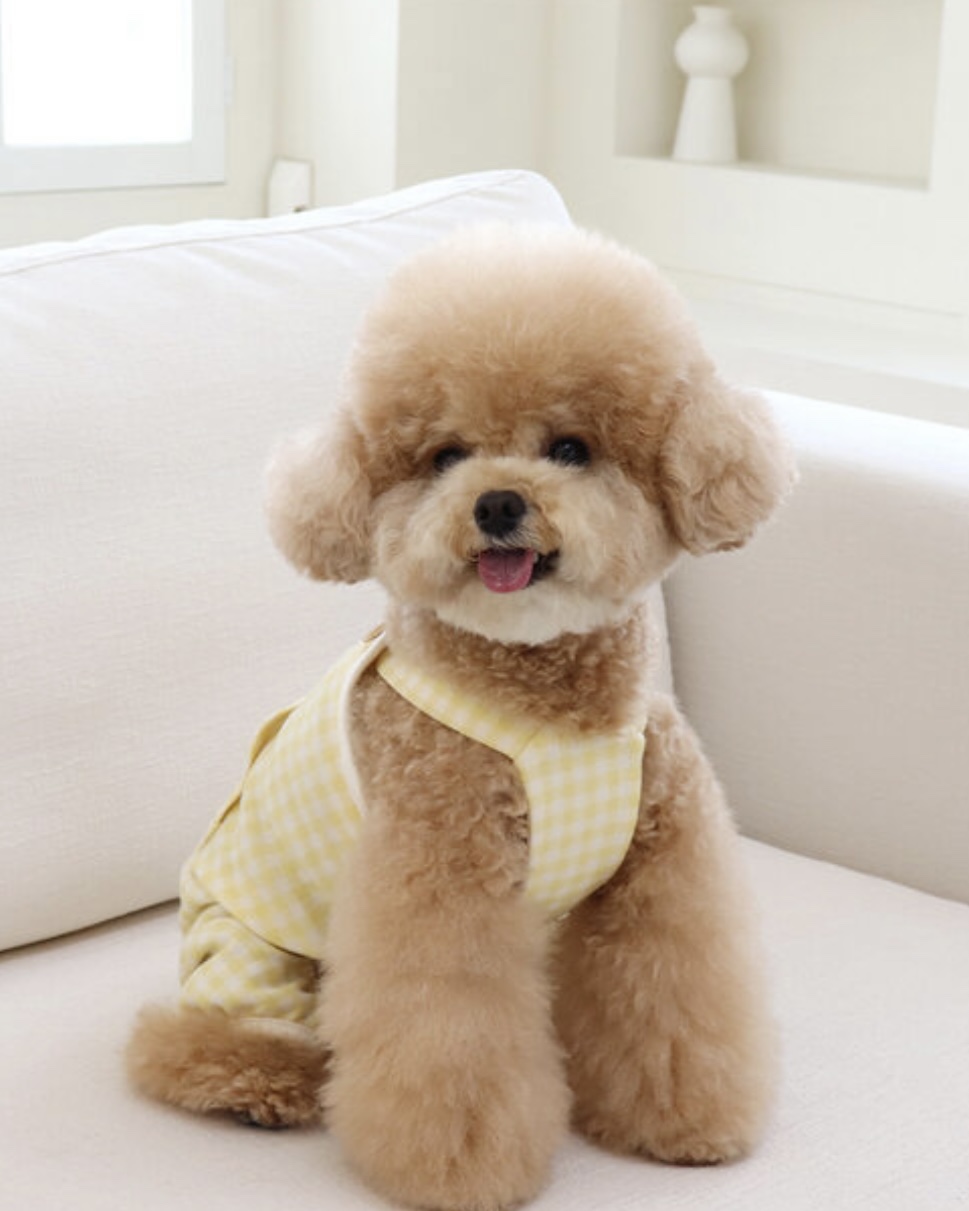 Chiot Together Check All in One Overall (Yellow)