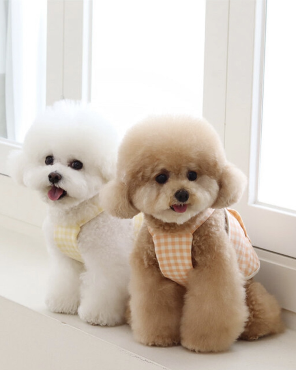 Together Check Crop Top Overall (Orange)