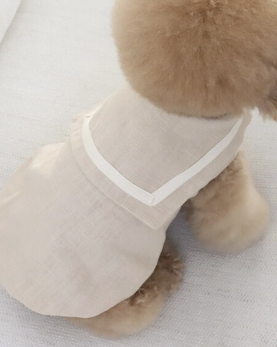 Pastel Linen Cape Top (Beige)