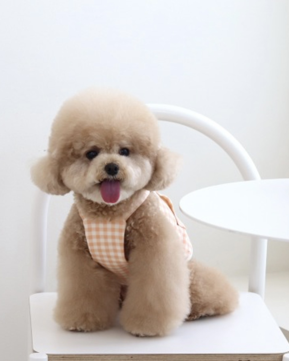 Together Check Crop Top Overall (Orange)