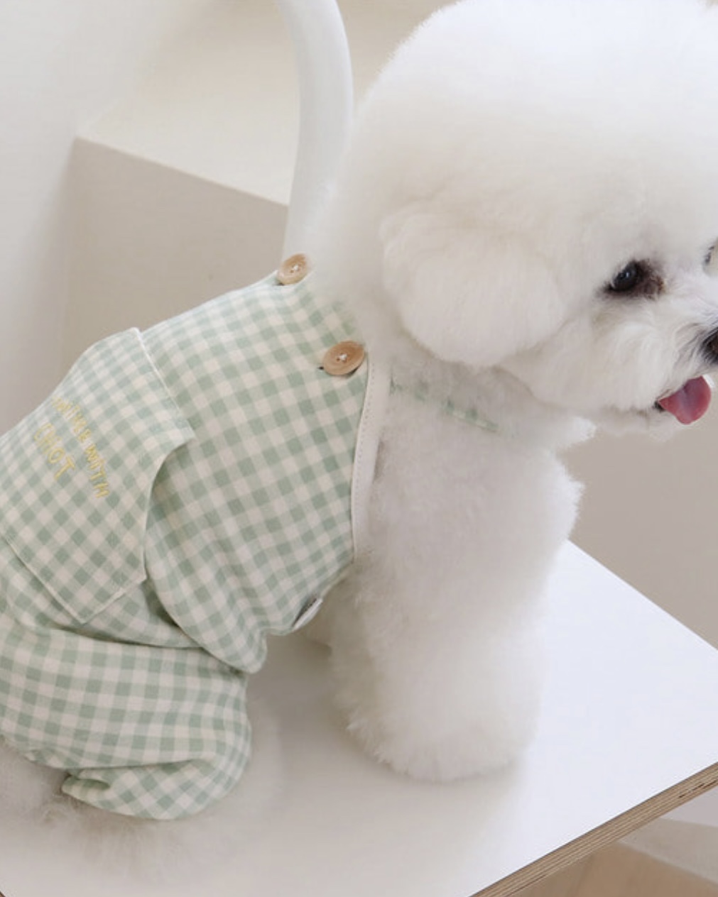 Chiot Together Check All in One Overall (Mint)