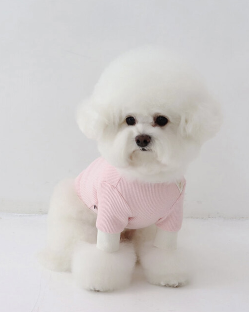 Sherbet Waffle T-Shirt (Pink)