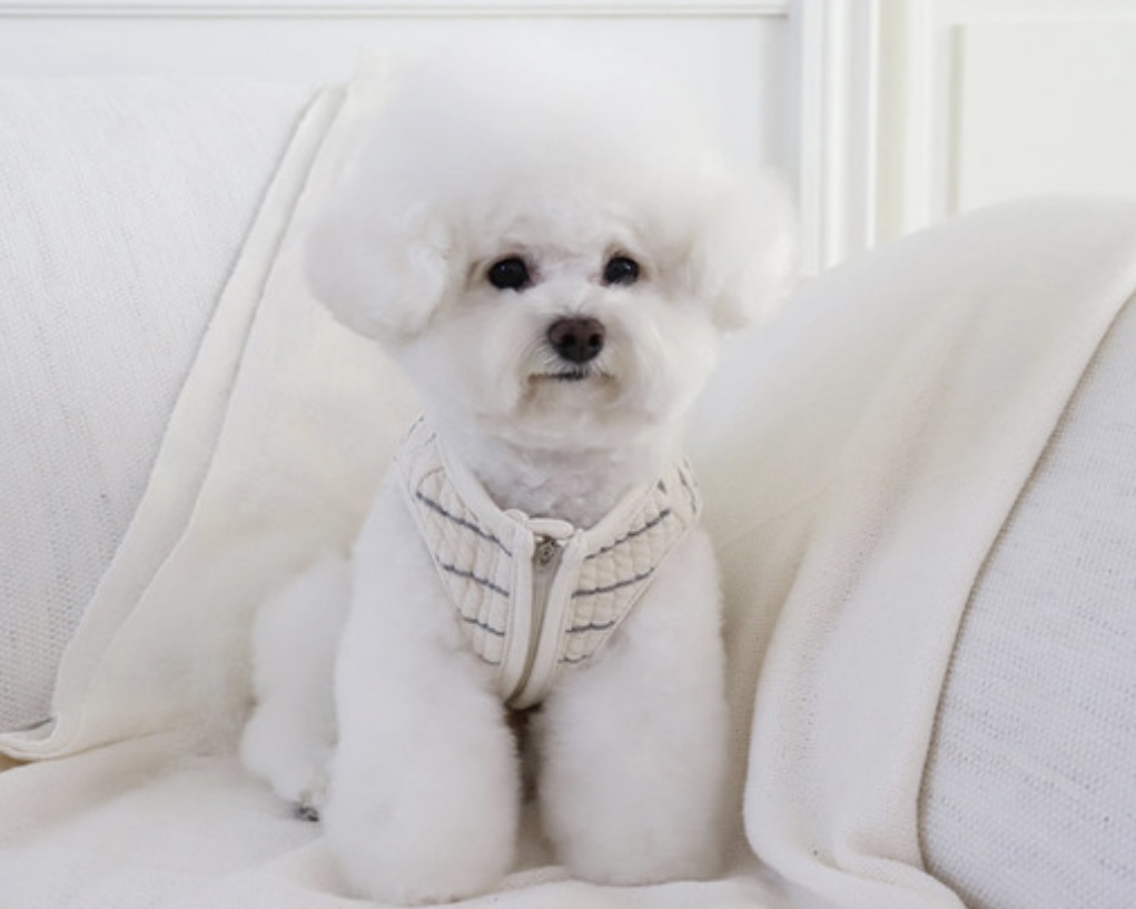 Chiot Bebe Cream Quilted Zip-Up Vest (Grey)