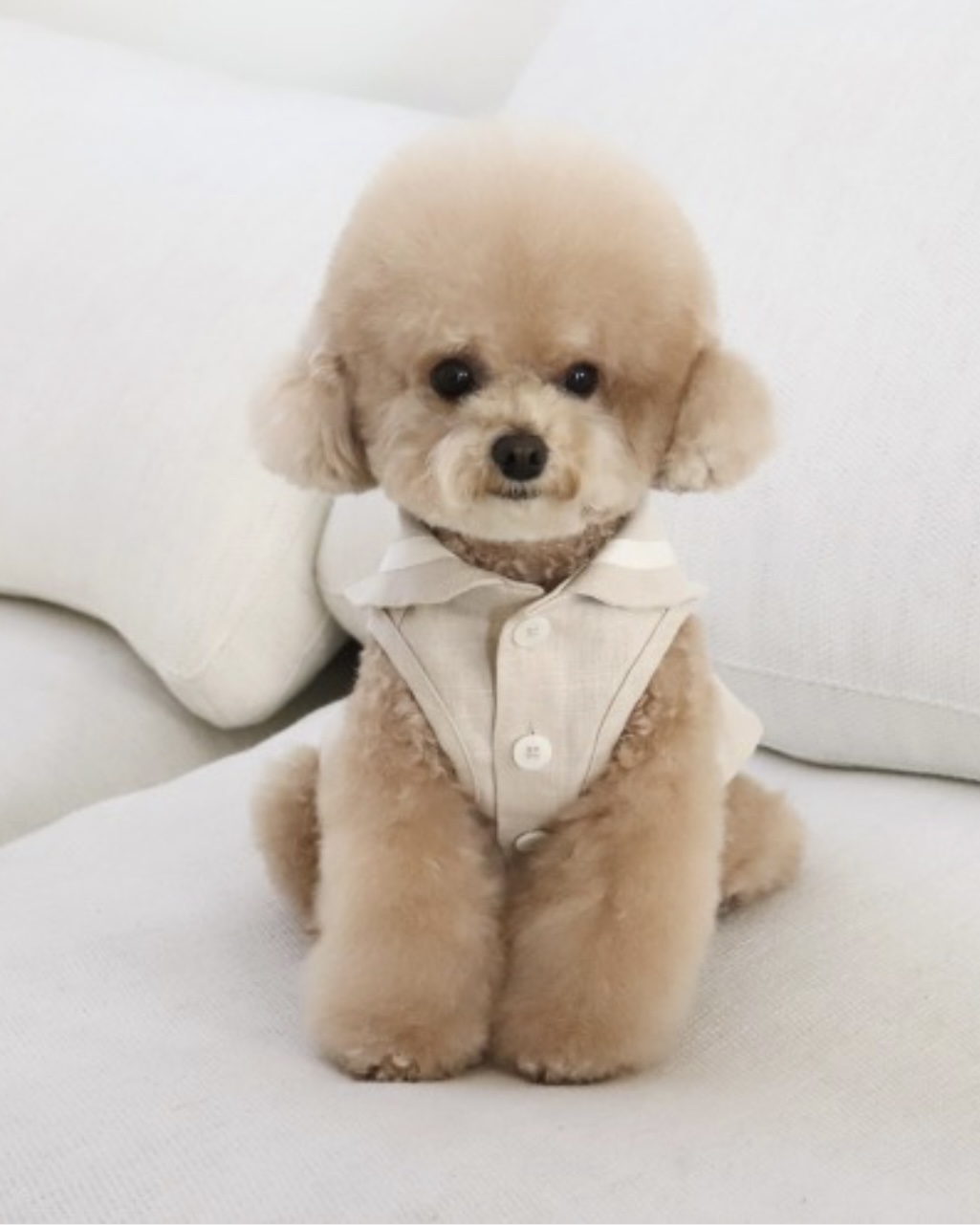 Pastel Linen Cape Top (Beige)