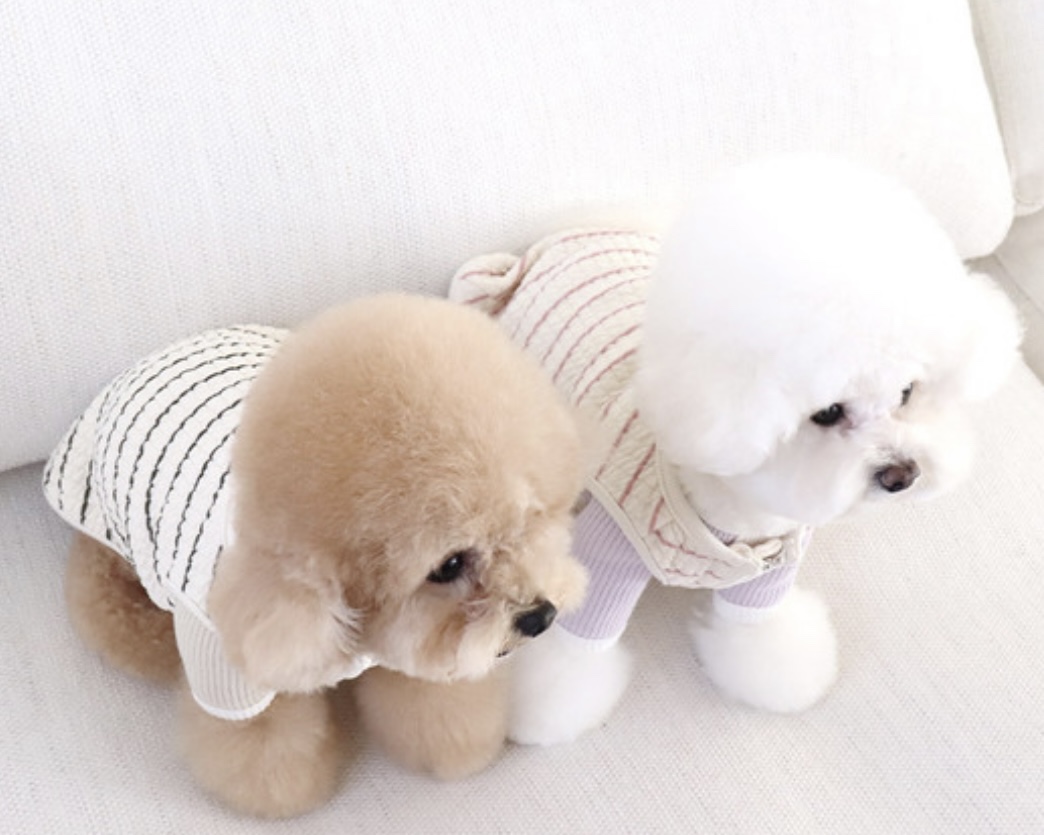 Chiot Bebe Cream Quilted Zip-Up Vest (Pink)