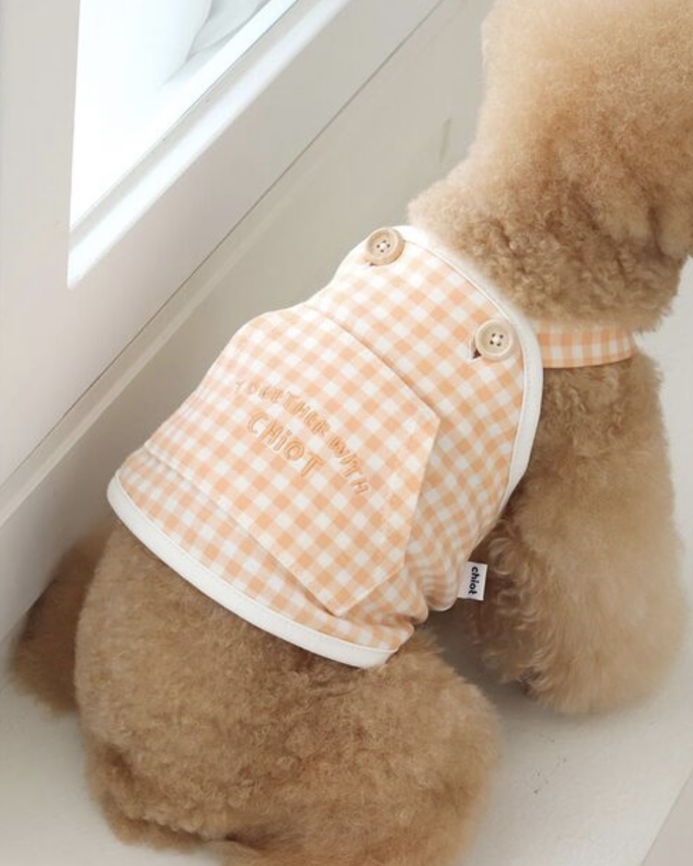 Together Check Crop Top Overall (Orange)