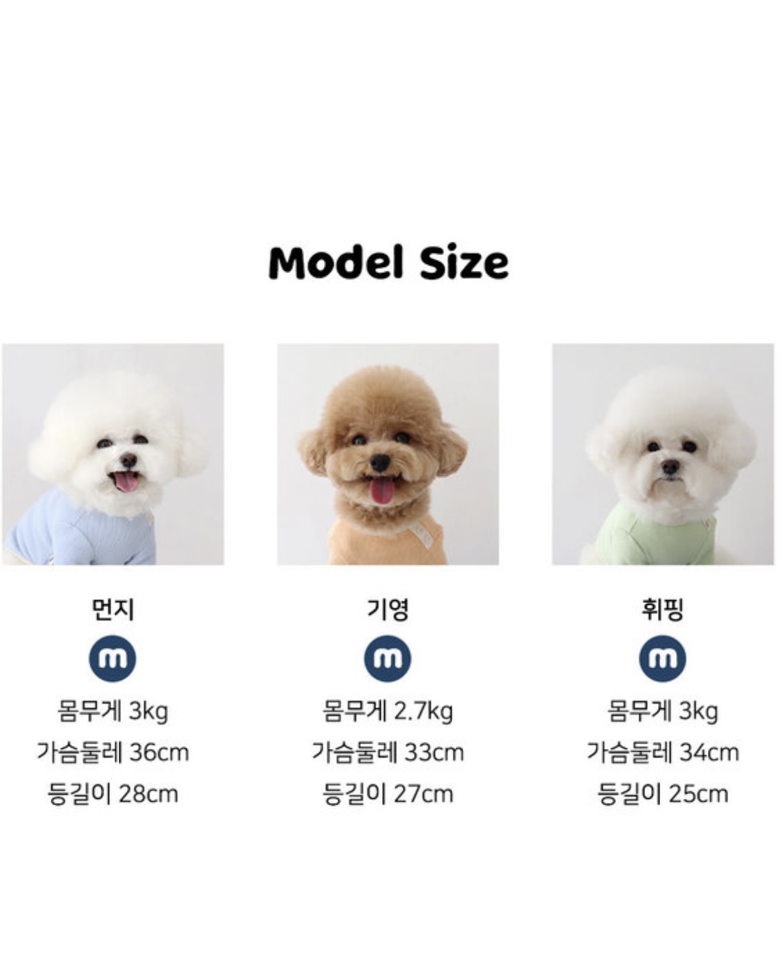 Sherbet Waffle T-Shirt (Milk Green)