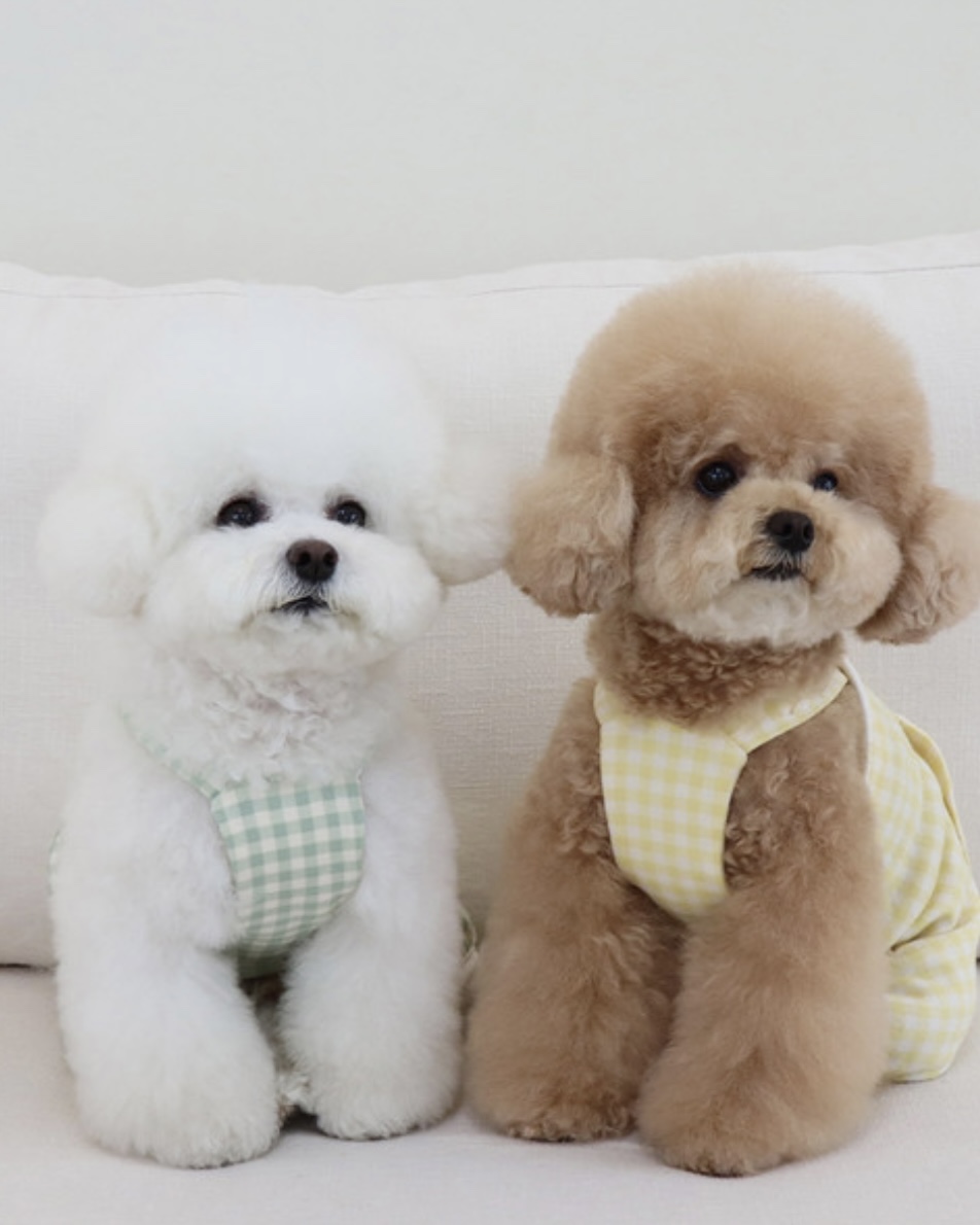 Chiot Together Check All in One Overall (Mint)