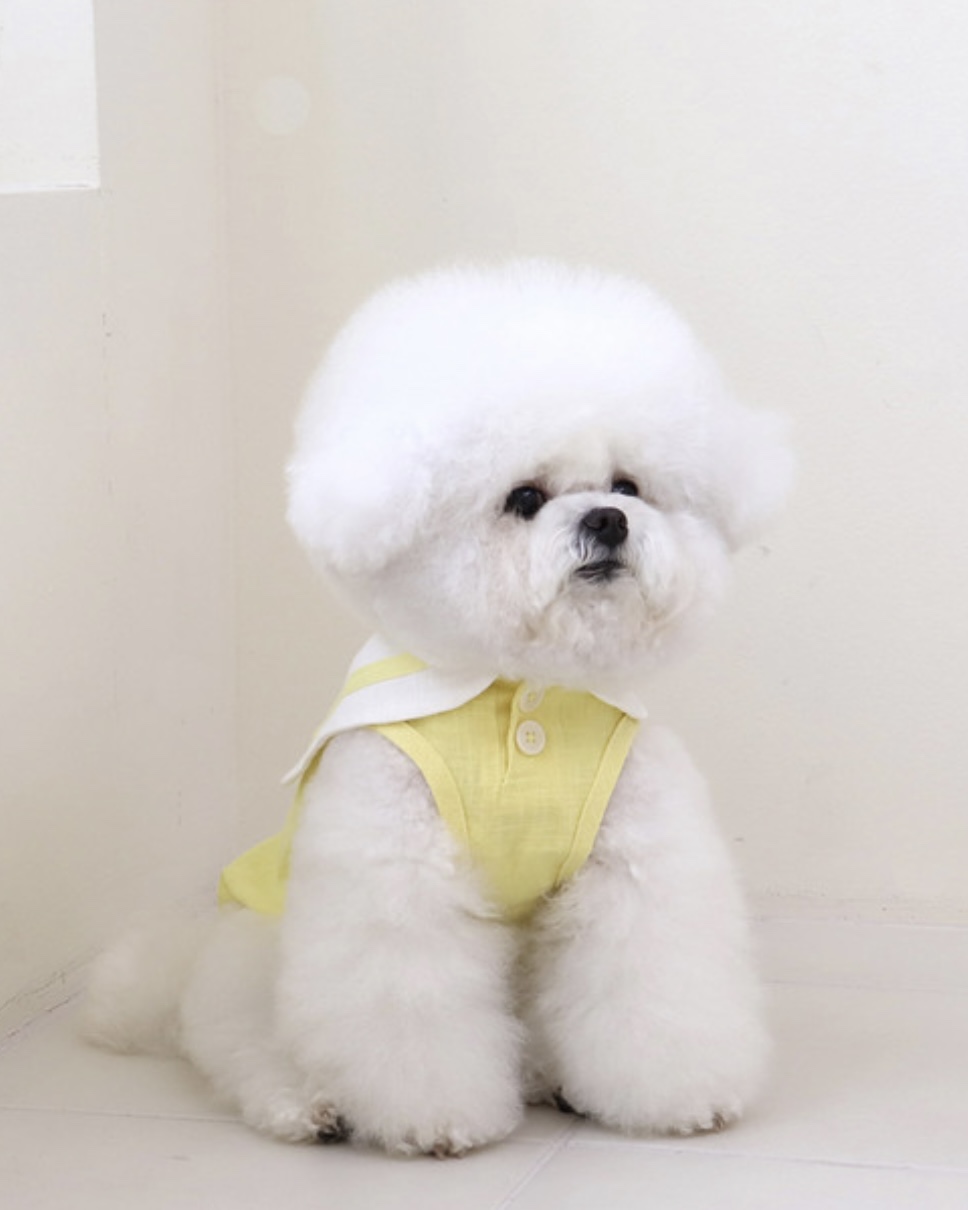 Pastel Linen Cape Top (Yellow)