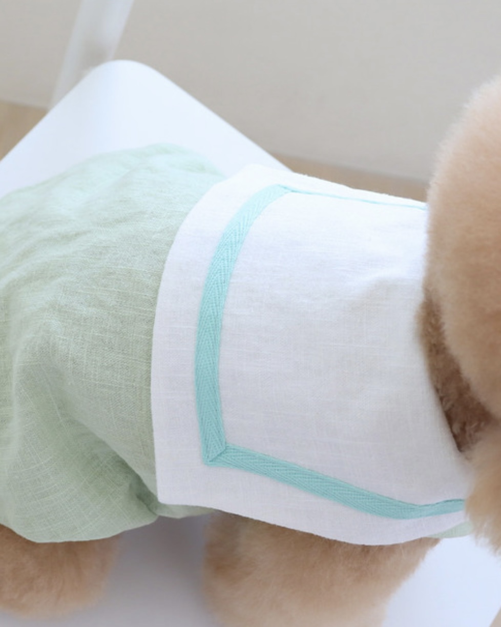 Pastel Linen Cape Top (Mint)