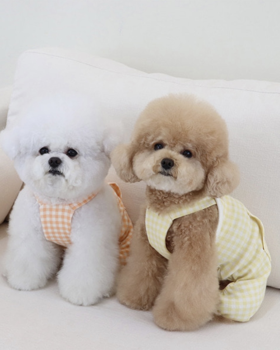 Chiot Together Check All in One Overall (Orange)