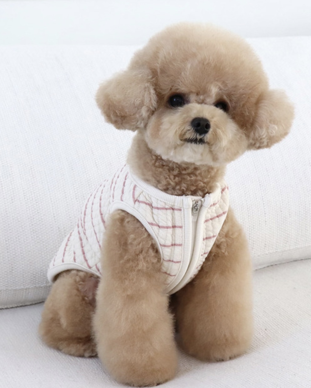 Chiot Bebe Cream Quilted Zip-Up Vest (Pink)