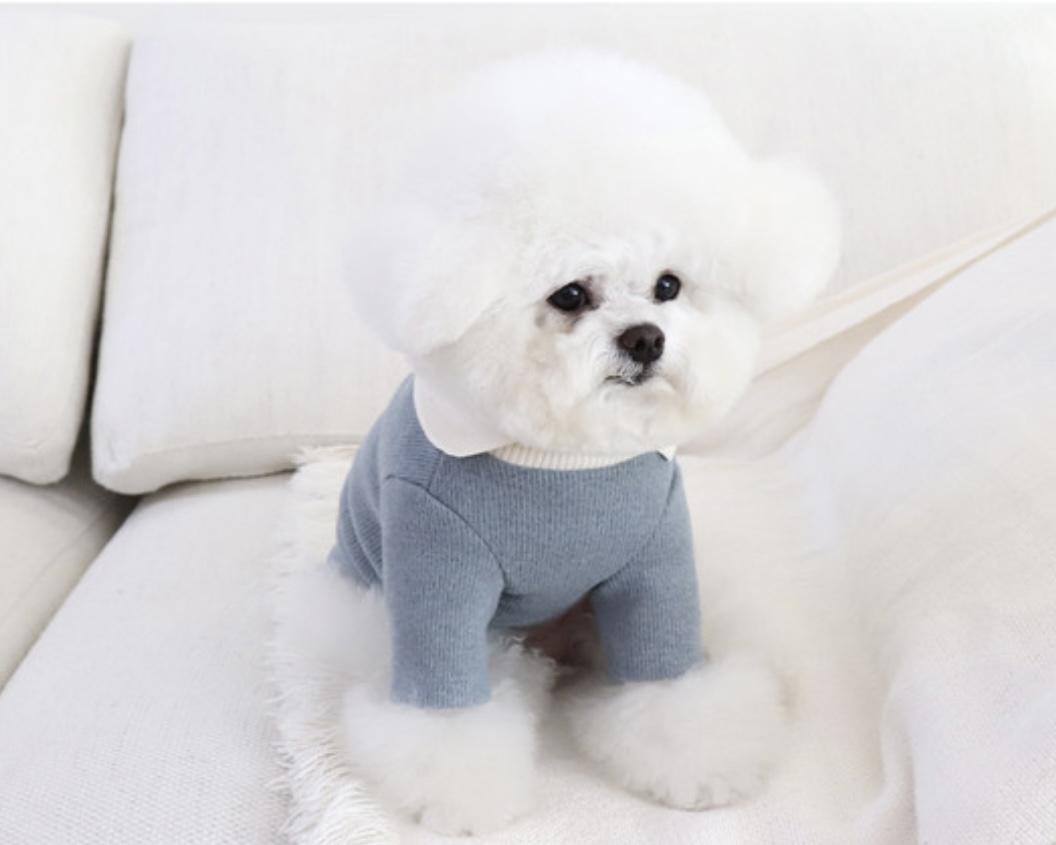 Chiot Blanc Knit Collar T-Shirt (Blue)
