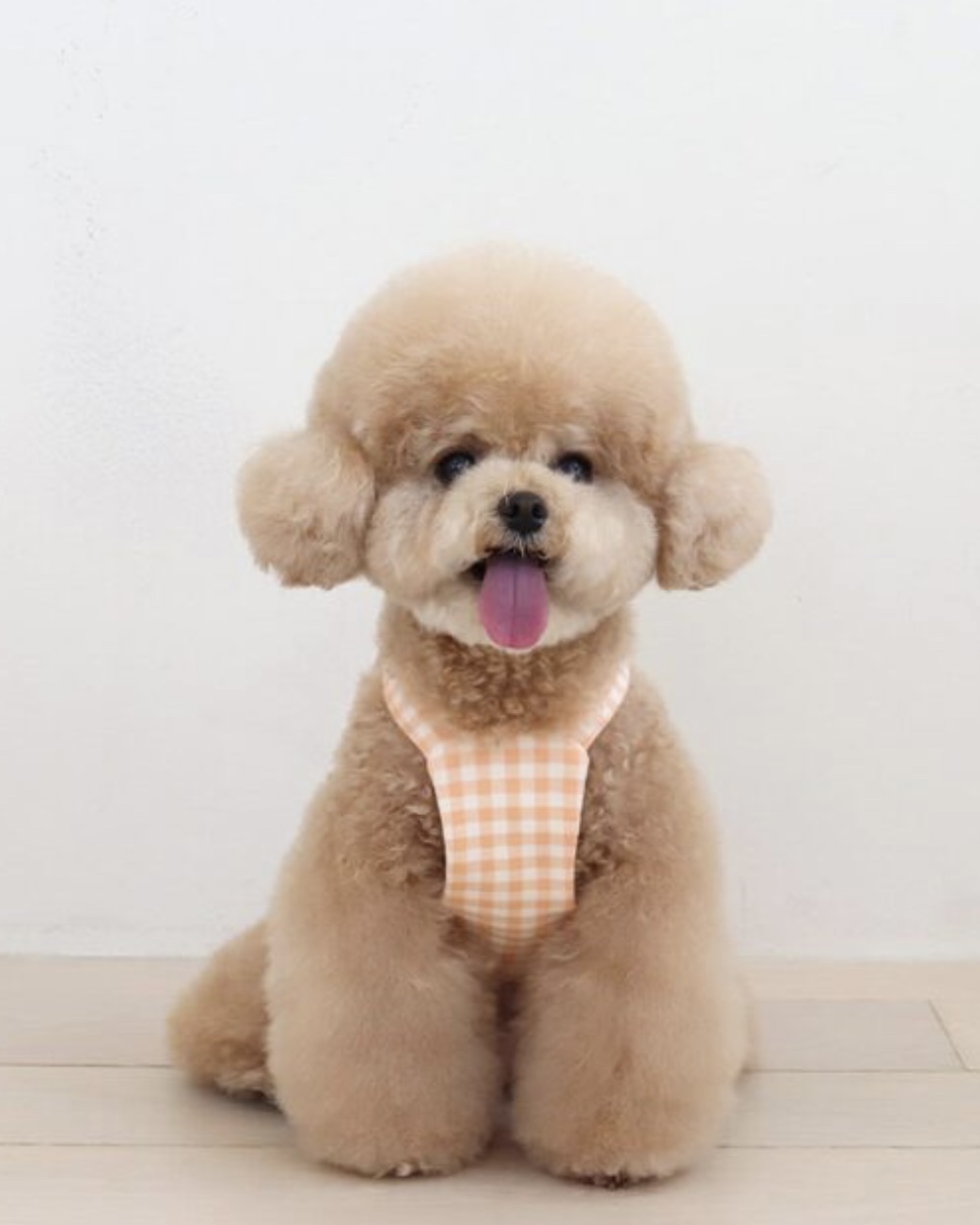 Together Check Crop Top Overall (Orange)