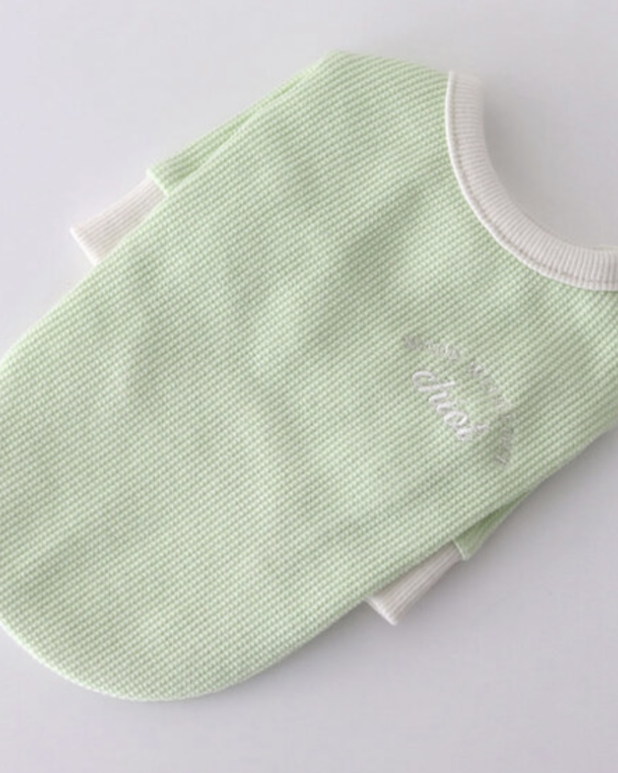 Sherbet Waffle T-Shirt (Milk Green)