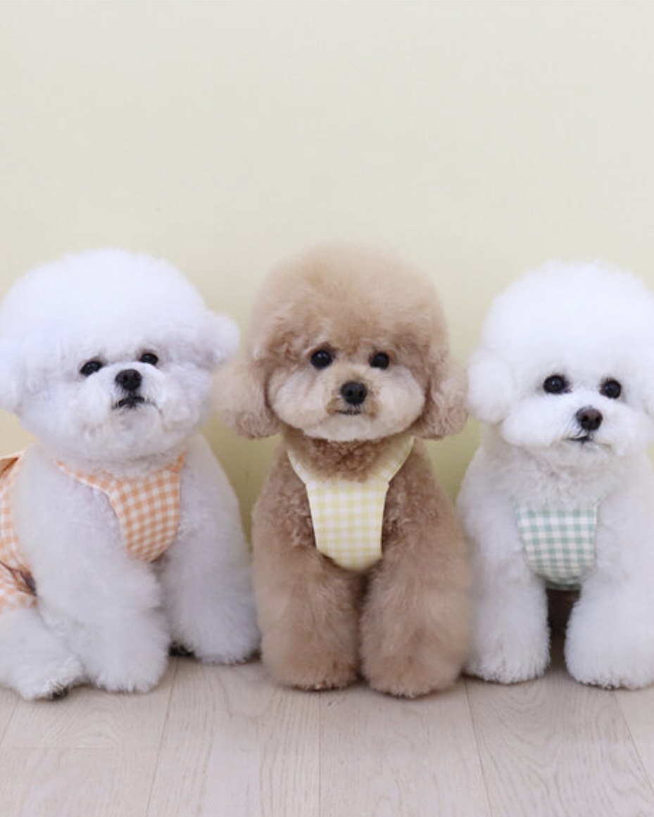 Chiot Together Check All in One Overall (Yellow)