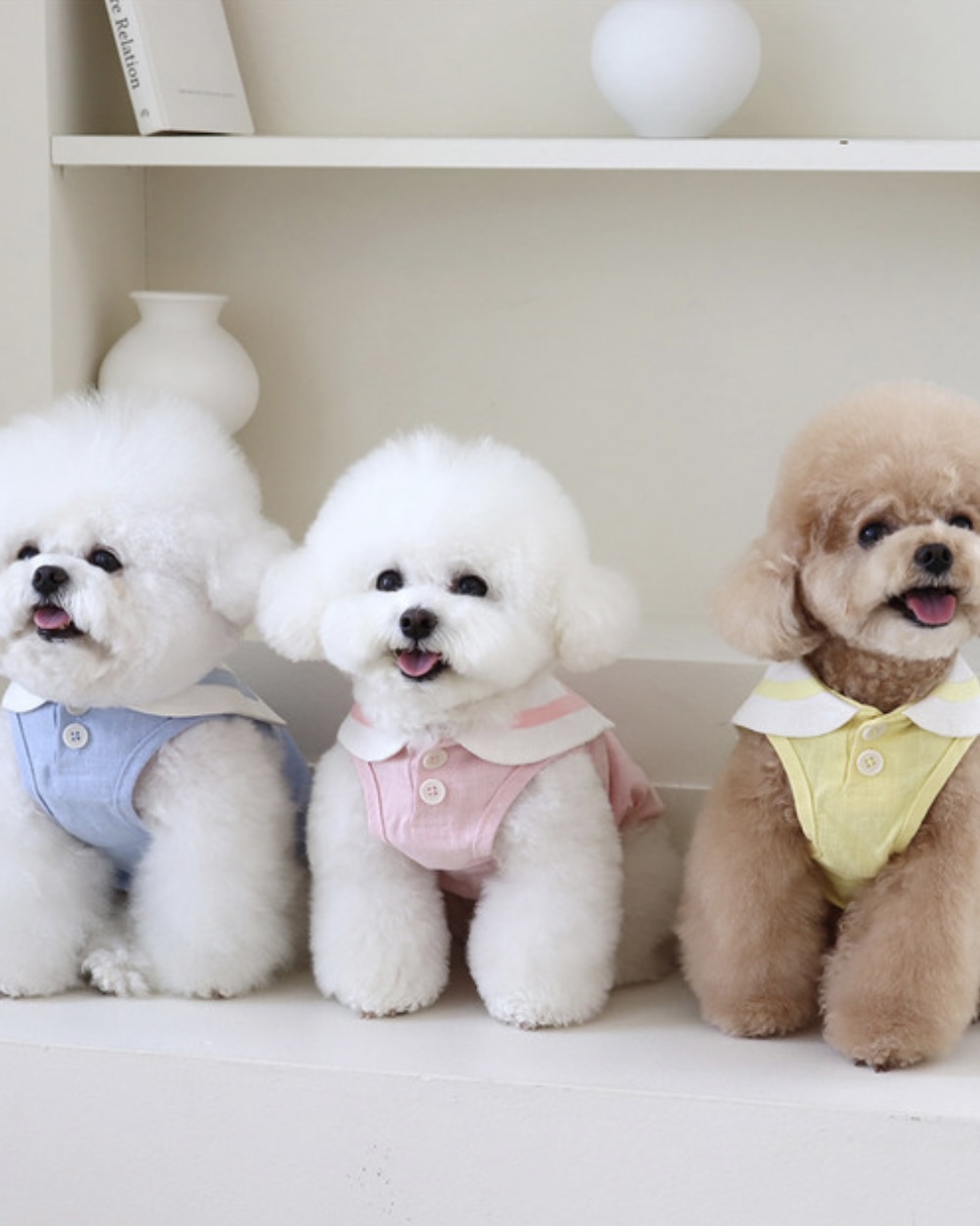 Pastel Linen Cape Top (Blue)