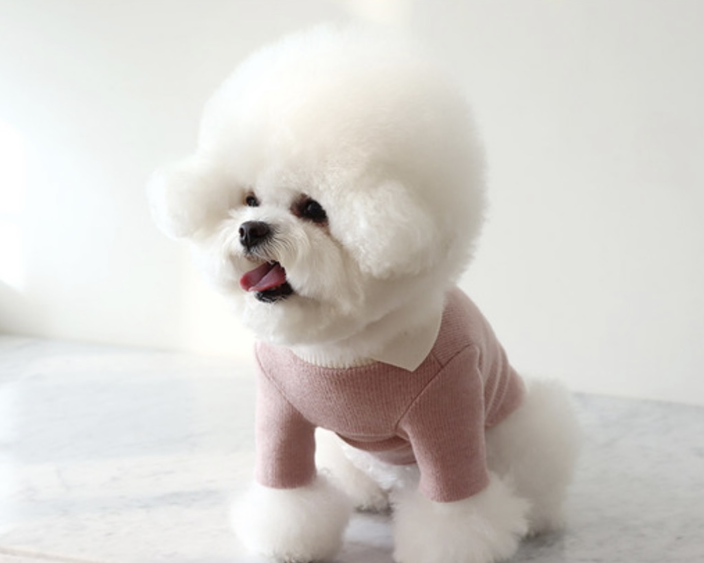 Chiot Blanc Knit Collar T-Shirt (Pink)