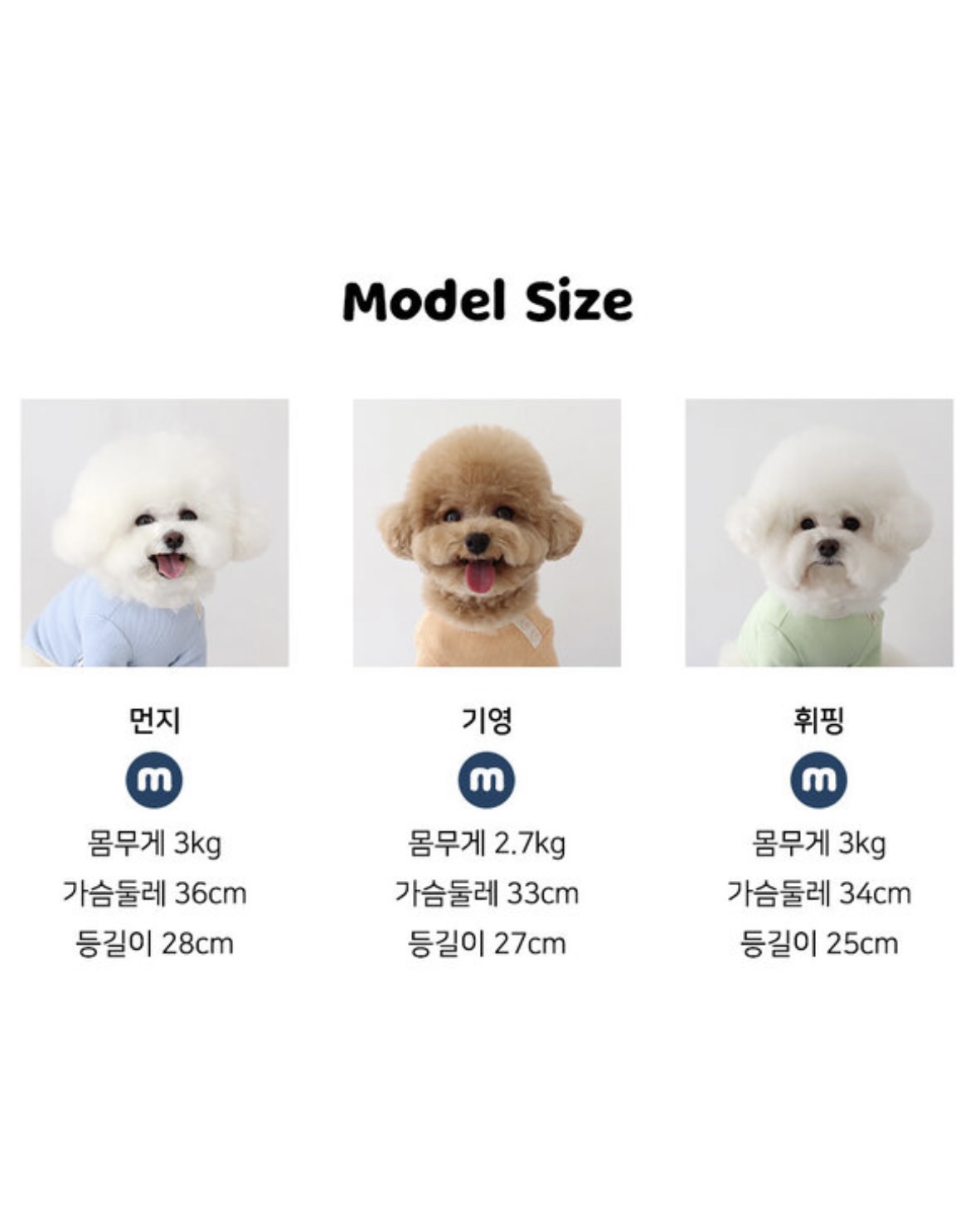 Chiot Blanc Knit Collar T-Shirt (Beige)