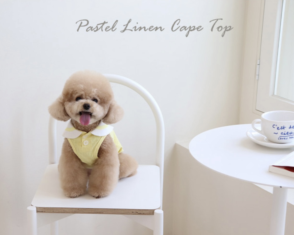 Pastel Linen Cape Top (Yellow)